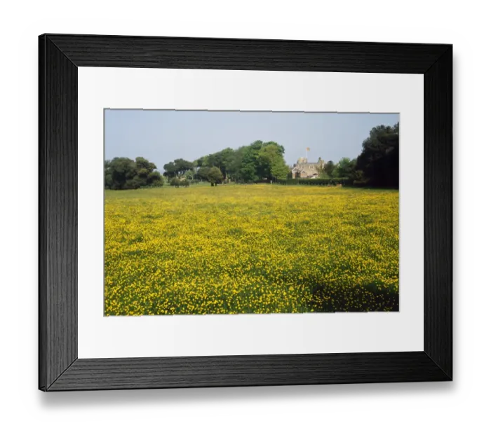 Framed Print : Walmer Castle Meadow K980408