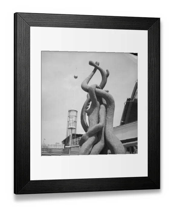 Framed Print : Root Bodied Forth a51_06882