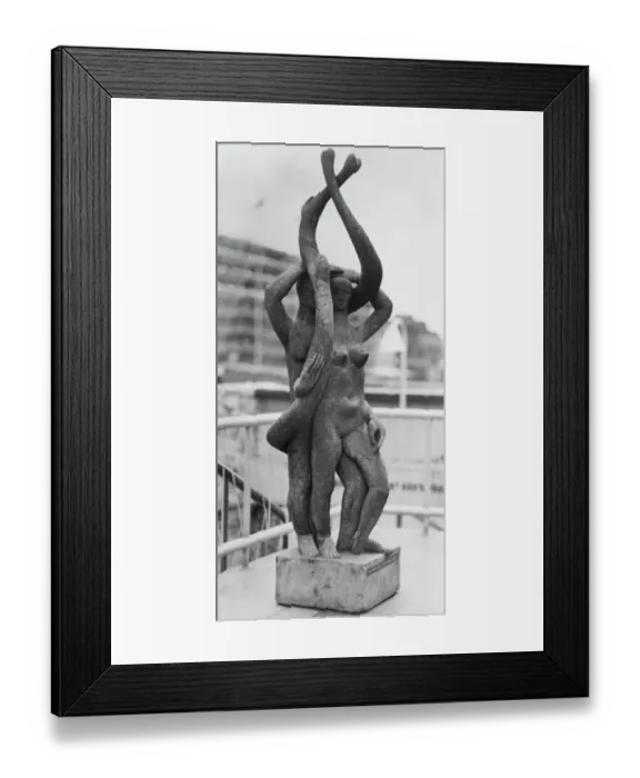 Framed Print : Root Bodied Forth BB96_02064 Framed Print : Root Bodied Forth BB96_02064