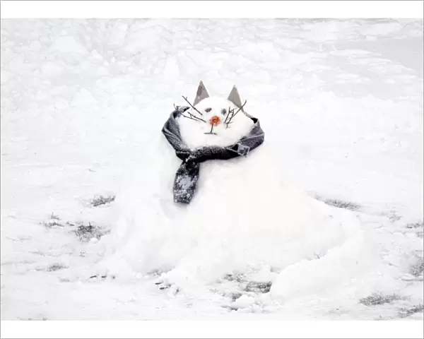 Snow Cat DP087403