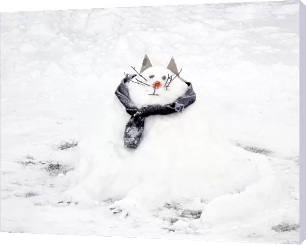 Snow Cat DP087403