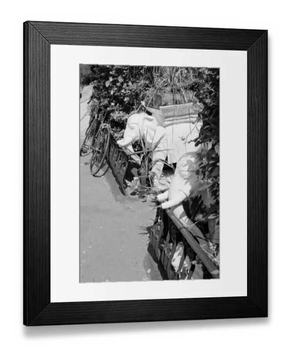 Framed Print : Elephant planters MF001793_11