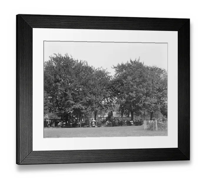 Framed Print : Elephant rides OP03630