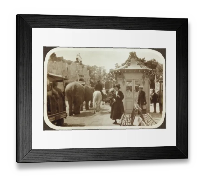 Framed Print : Elephant parade RJW01_01_089 Framed Print : Elephant parade RJW01_01_089