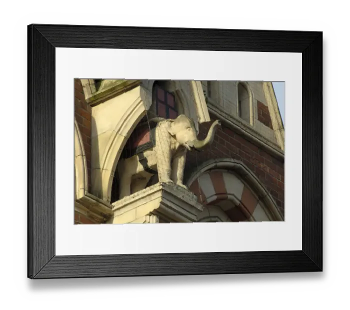 Framed Print : Elephant in niche DP033960