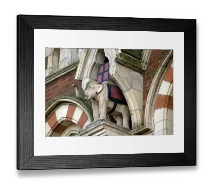 Framed Print : Elephant in niche DP033963
