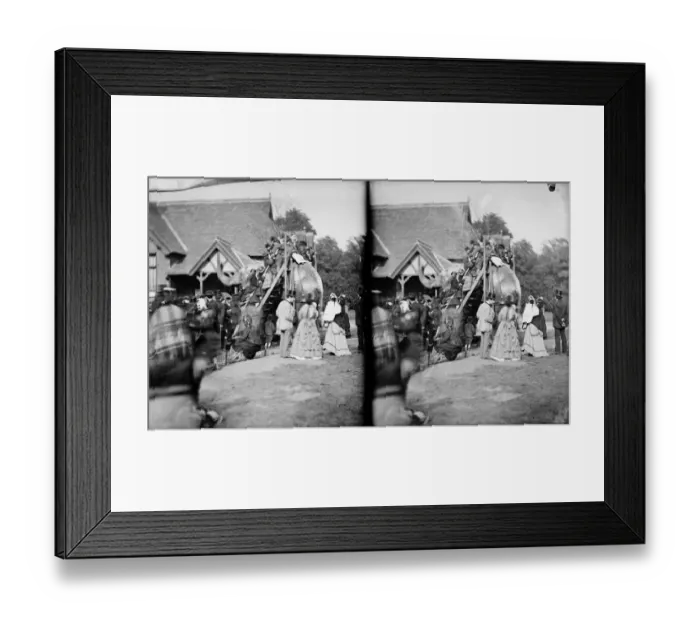 Framed Print : Elephant rides CC97_00710