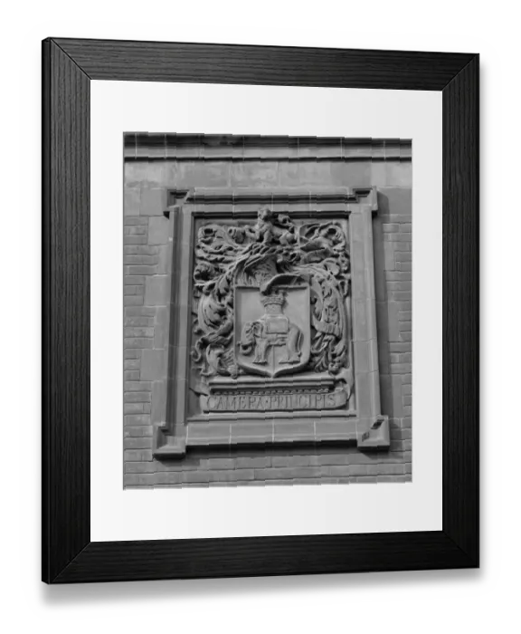 Framed Print : Elephant and Castle motif a98_06657