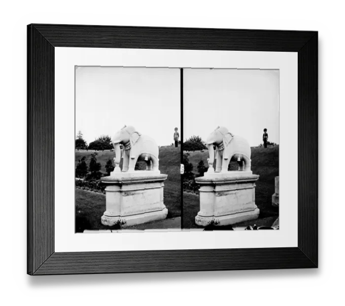 Framed Print : Lucknow elephant CC97_00391