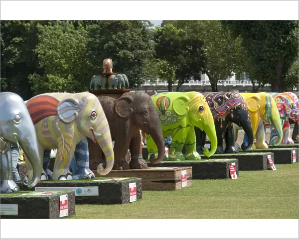 Elephant Parade DP094995