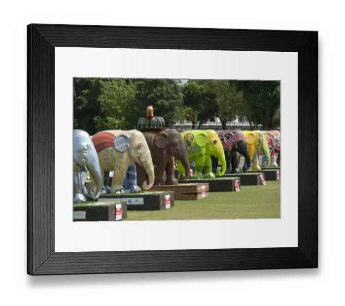 Framed Print : Elephant Parade DP094995