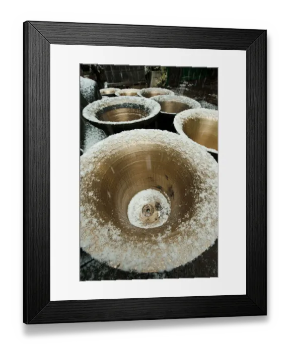 Framed Print : Snow bells DP130634