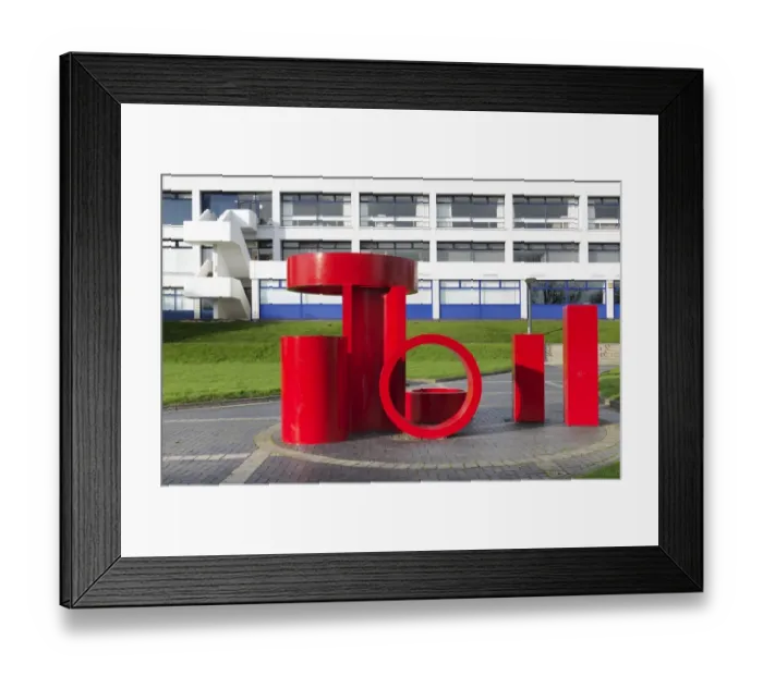 Framed Print : Schottlander - Series of Shapes in Red DP181019