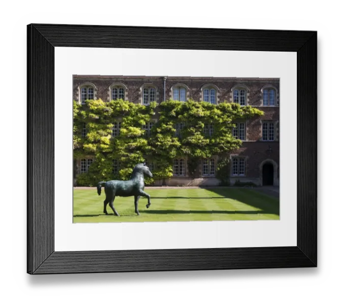 Framed Print : Flanagan - Bronze Horse DP167114 Framed Print : Flanagan - Bronze Horse DP167114