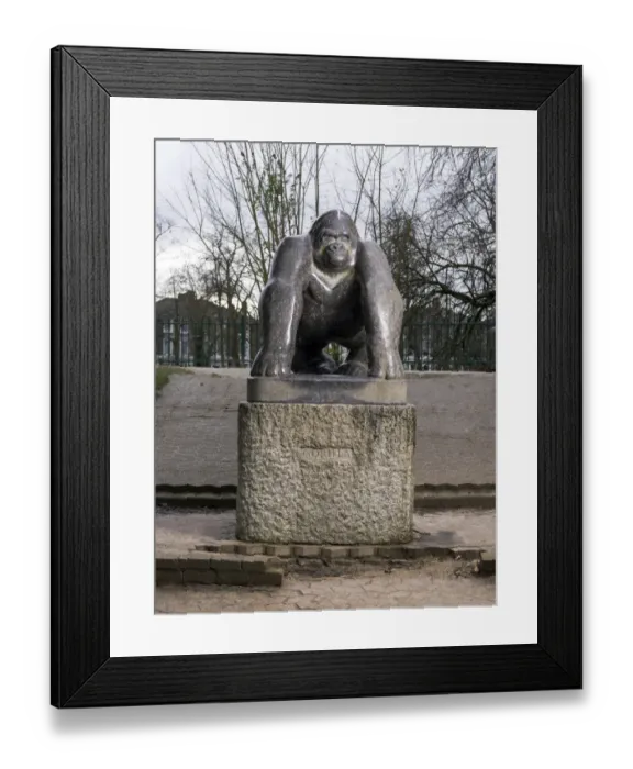 Framed Print : Wynne - Guy the Gorilla DP183090