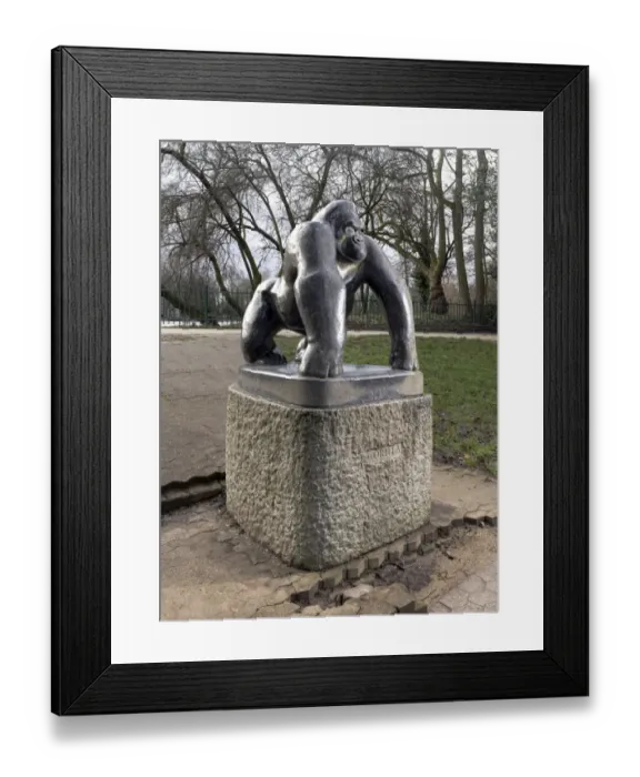 Framed Print : Wynne - Guy the Gorilla DP183088