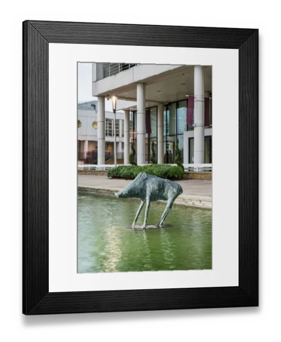 Framed Print : Frink - Boar DP178248