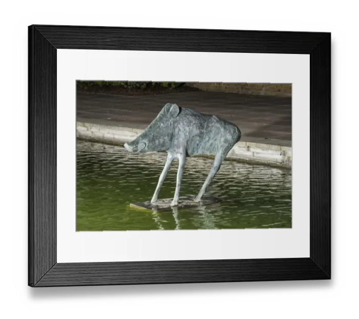 Framed Print : Frink - Boar DP178250