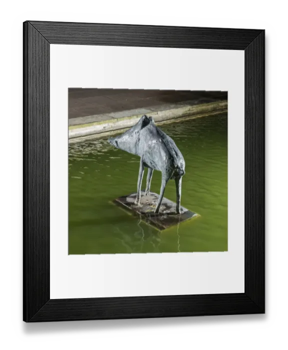 Framed Print : Frink - Boar DP178251 Framed Print : Frink - Boar DP178251