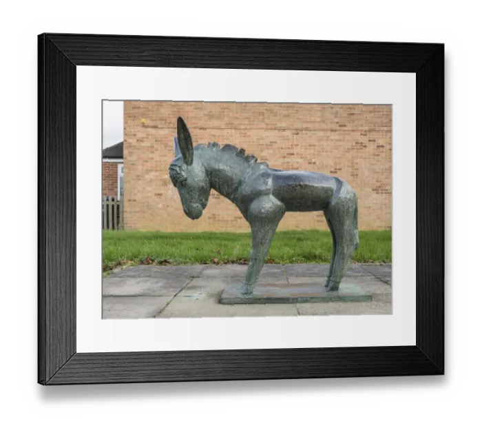 Framed Print : Soukop - Donkey DP178234