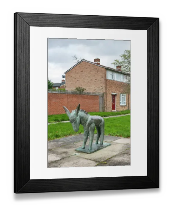 Framed Print : Soukop - Donkey DP178233