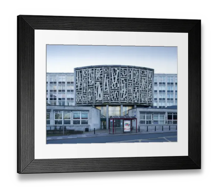 Framed Print : Johnson - Celebration of Engineering Sciences DP168902