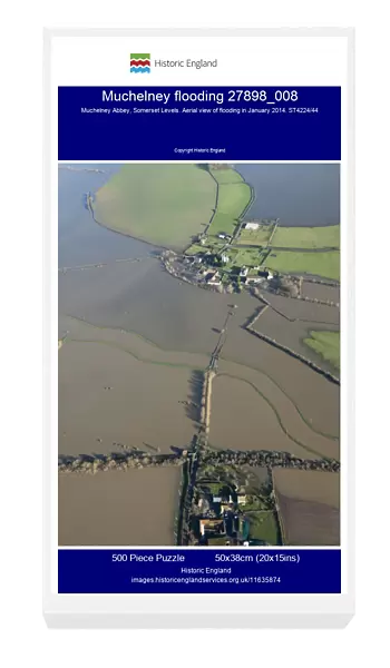 Muchelney flooding 27898_008