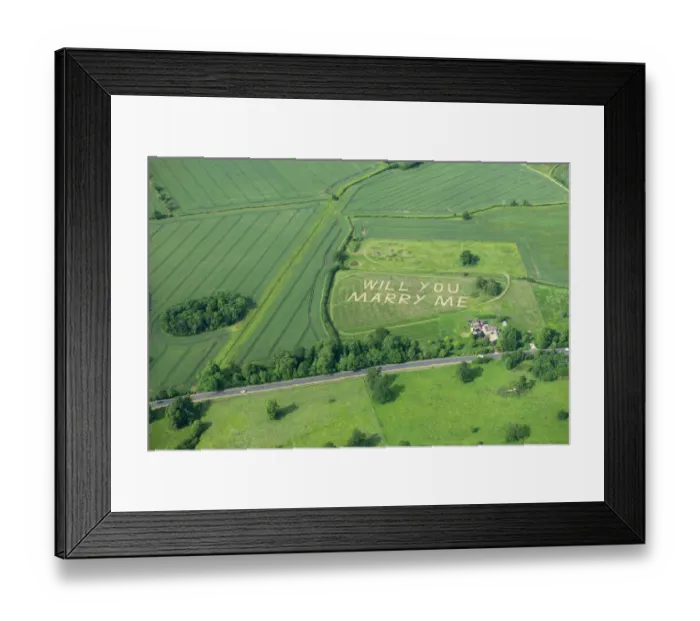 Framed Print : Will you marry me 29118_039