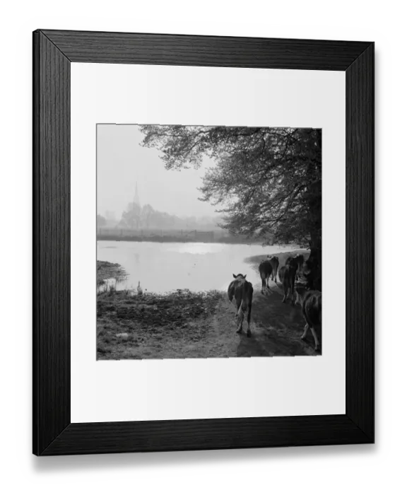 Framed Print : Water meadows a083399