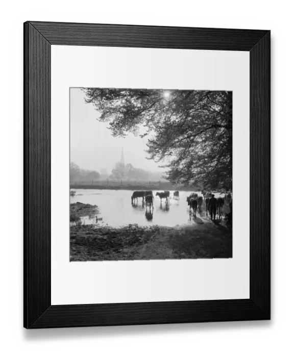 Framed Print : Water meadows a083400