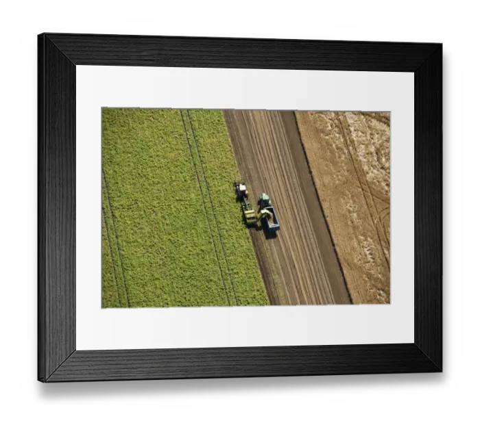 Framed Print : Harvesting 27596_020
