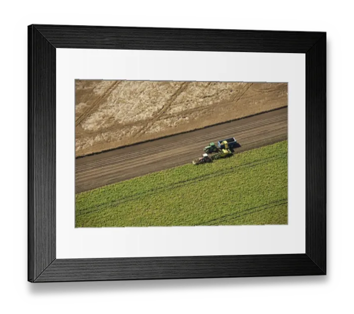 Framed Print : Harvesting 27596_025