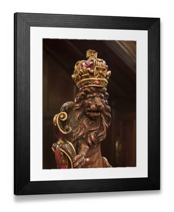 Framed Print : Lion DP131973 Framed Print : Lion DP131973