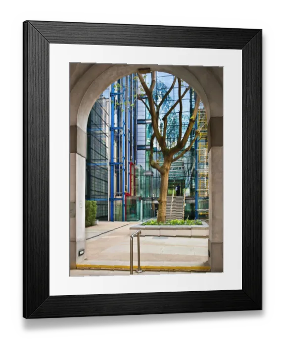 Framed Print : London tree DP131915 Framed Print : London tree DP131915