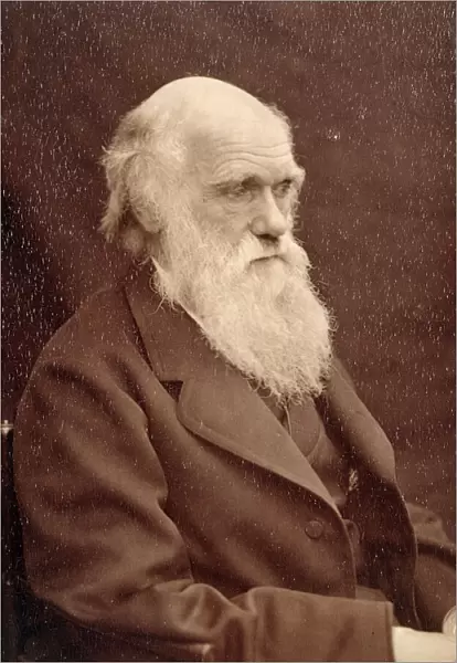 Charles Darwin K970215