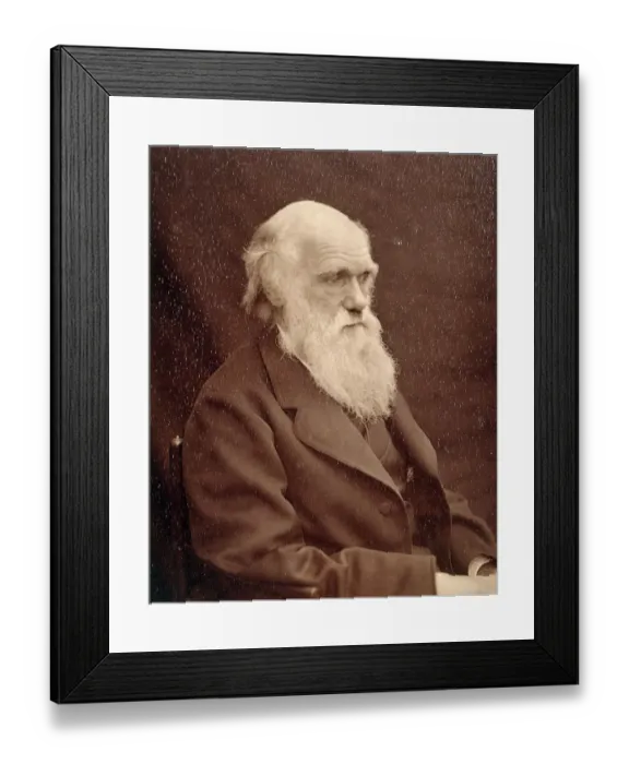 Framed Print : Charles Darwin K970215