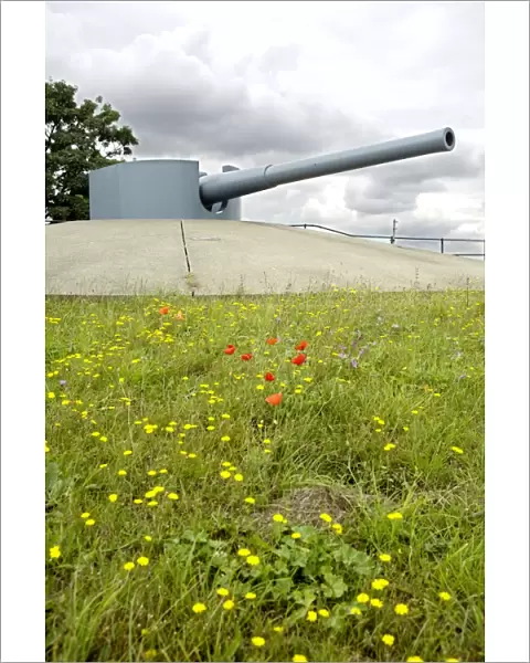 Tilbury Fort gun N071539