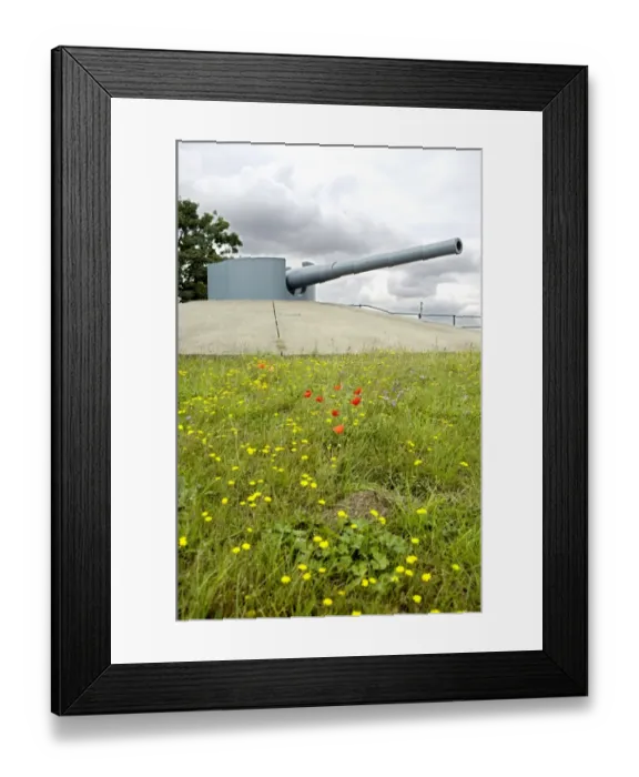 Framed Print : Tilbury Fort gun N071539 Framed Print : Tilbury Fort gun N071539