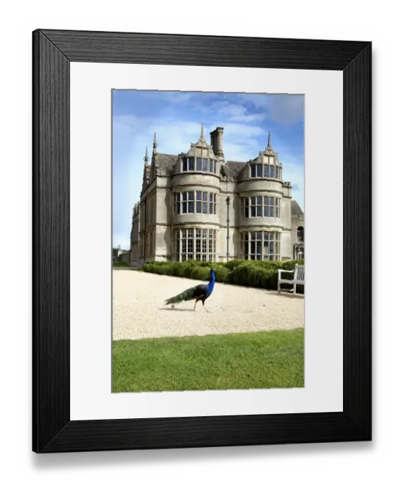 Framed Print : Kirby Hall N071554