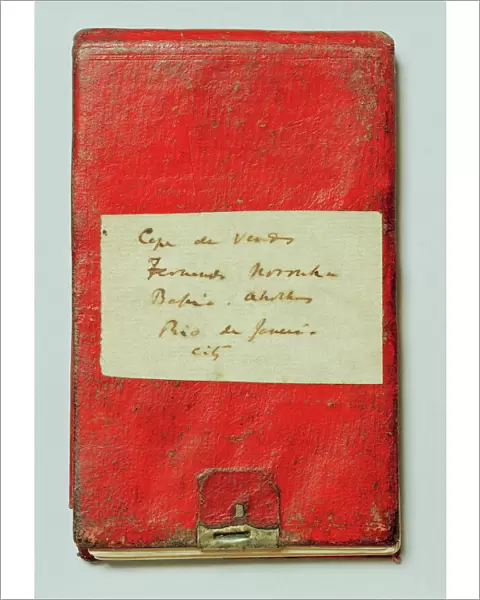Charles Darwins notebook N020033