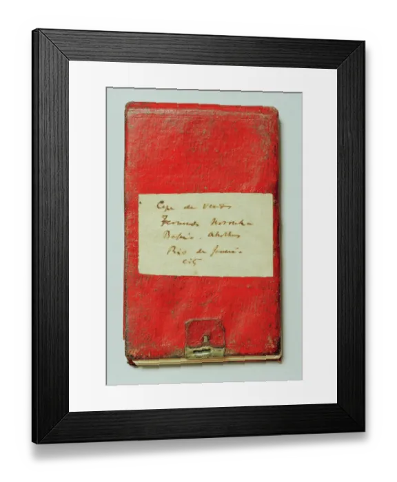 Framed Print : Charles Darwins notebook N020033