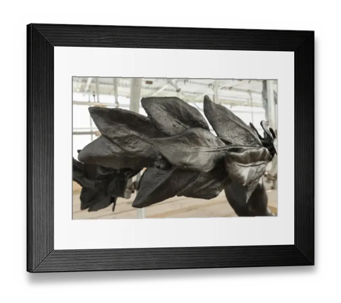 Framed Print : Wreath detail DP171329
