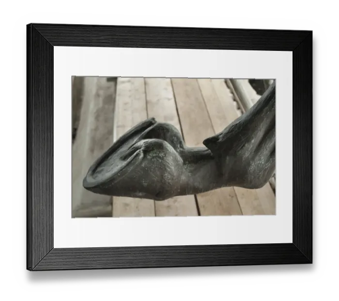 Framed Print : Hoof detail DP171739