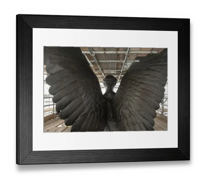 Framed Print : Wings detail DP171368