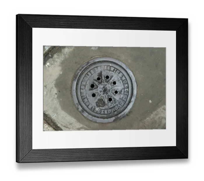 Framed Print : Ironwork DP095039
