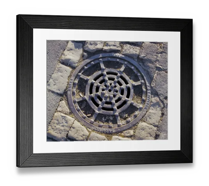 Framed Print : Ironwork a059363