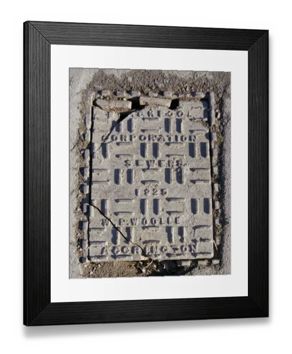 Framed Print : Ironwork a060330