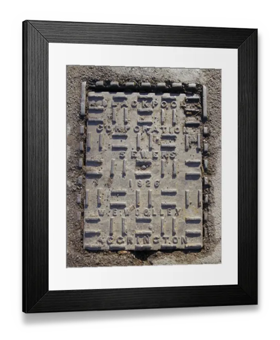 Framed Print : Ironwork a060331 Framed Print : Ironwork a060331
