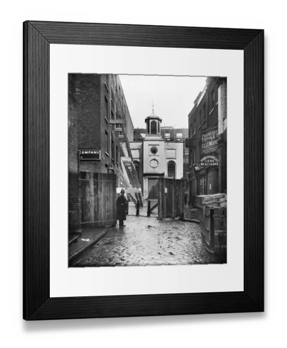 Framed Print : On guard DD75_00082 Framed Print : On guard DD75_00082