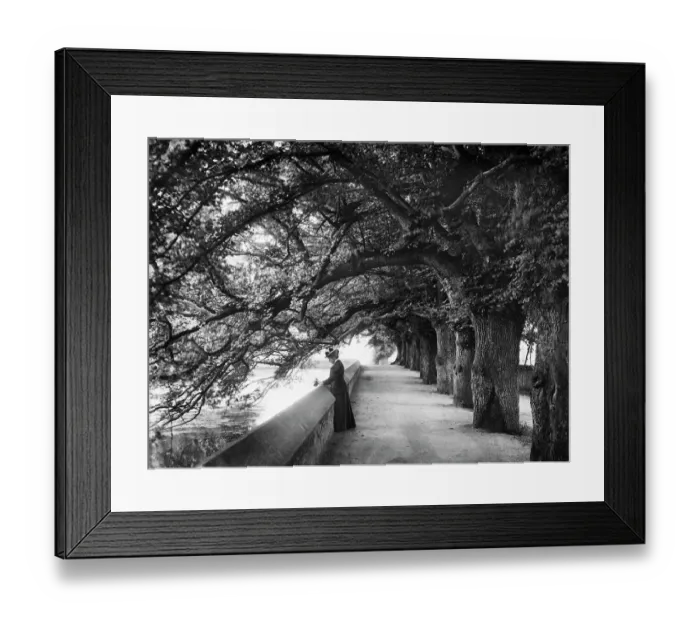 Framed Print : Memories CC025337